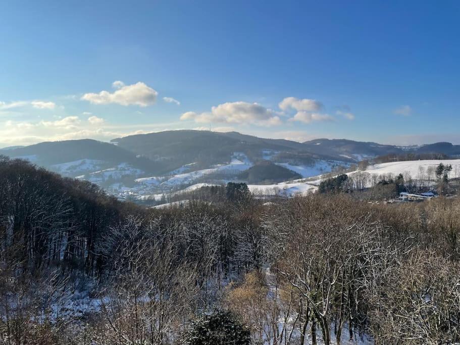 Traumhafter Blick Mit Wohnung Lindenfels Exteriér fotografie